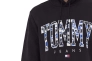 Шорты Tommy Jeans Regular Fit DM0DM17810-BDS Фото 3