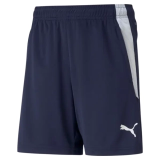 Шорты детские PUMA Teamliga Training 657250-06, Цвет Темно-синий, Размер (Европа) - 140cm 657250-06