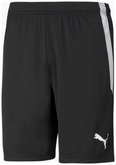 Шорти спортивні Puma teamLIGA Shorts чорний Чол L 704924-03 фото 1 — інтернет-магазин Tapok