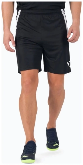 Шорти спортивні Puma teamLIGA Shorts чорний Чол L 704924-03 фото 2 — інтернет-магазин Tapok