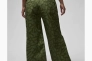 Штани Air Jordan Chicago Pants Green FD7212-340 Фото 2