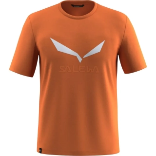 Футболка Salewa Solidlogo Dri-Release 013.012.1242