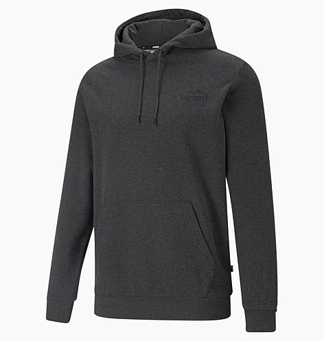 Кофта (худі) чоловіча Puma ESSENTIALS SMALL LOGO HOODIE (58692 07) L 586692 07 фото 1 — інтернет-магазин Tapok