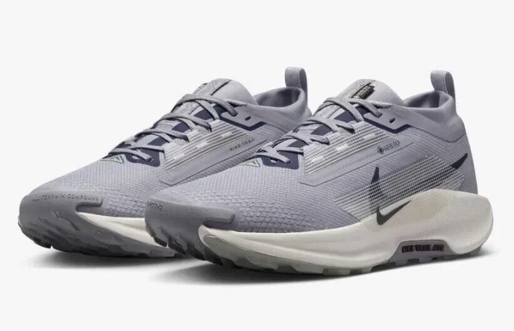 Кроссовки Nike Pegasus Trail 5 GTX (голубые) FQ0908-006 фото 1 — интернет-магазин Tapok