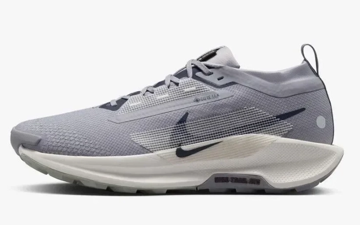 Кроссовки Nike Pegasus Trail 5 GTX (голубые) FQ0908-006 фото 2 — интернет-магазин Tapok