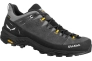 Кросівки Salewa Alp Trainer 2 GTX Mns 013.001.5975 Фото 1