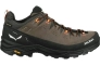 Кросівки Salewa Alp Trainer 2 GTX Mns 013.001.5975 Фото 5
