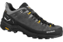 Кросівки Salewa Alp Trainer 2 GTX Mns 013.001.5976 Фото 1