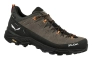 Кросівки Salewa Alp Trainer 2 GTX Mns 013.001.5976 Фото 2