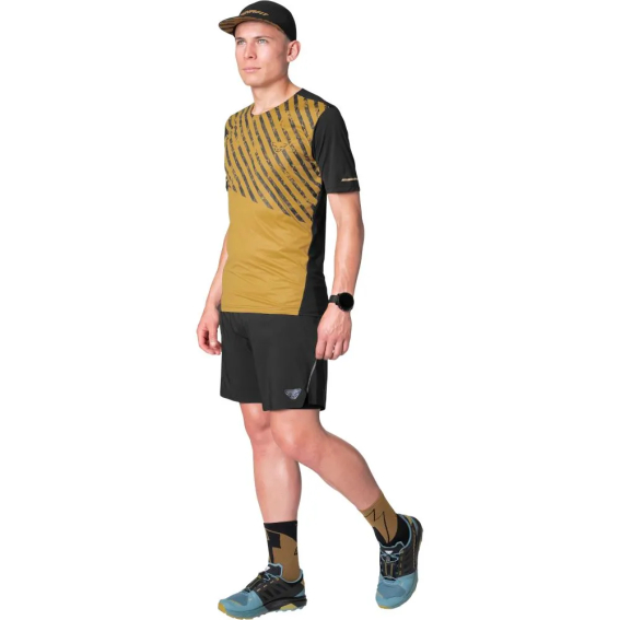 Футболка Dynafit Alpine 2 S/S Mns 016.002.2835 фото 2 — интернет-магазин Tapok