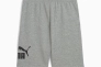 Шорты спортивные подростковые ESS No. 1 Logo Shorts TR 68491803 Puma 128 Серый 68491803 Фото 5