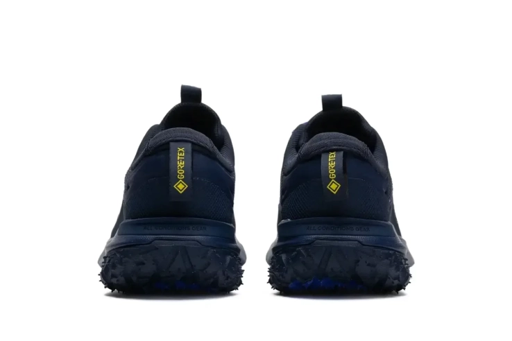Кроссовки ACG MOUNTINE FLY 2 LOW GTX HF6245 400 фото 2 — интернет-магазин Tapok
