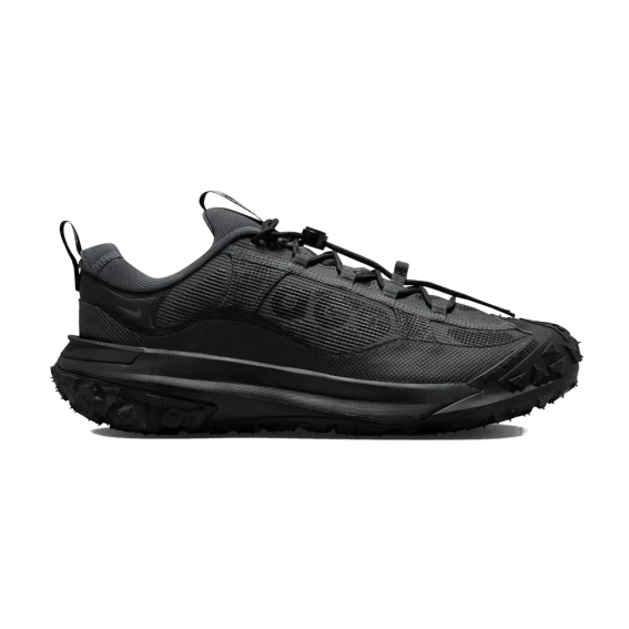 Кроссовки ACG MOUNTINE FLY 2 LOW GTX HF6245 001 фото 1 — интернет-магазин Tapok