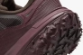 Кроссовки ACG MOUNTINE FLY 2 LOW GTX HF6245 200 Фото 8