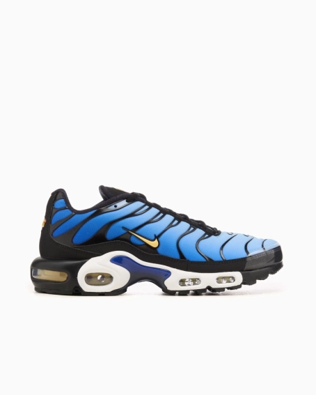 Кроссовки NIKE AIR MAX PLUS OG DX0755-001 фото 1 — интернет-магазин Tapok