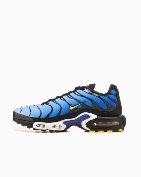 Кроссовки NIKE AIR MAX PLUS OG DX0755-001 фото 2 — интернет-магазин Tapok