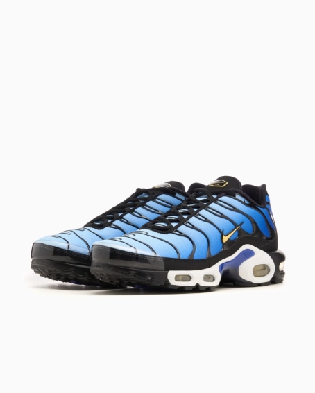 Кроссовки NIKE AIR MAX PLUS OG DX0755-001 фото 5 — интернет-магазин Tapok