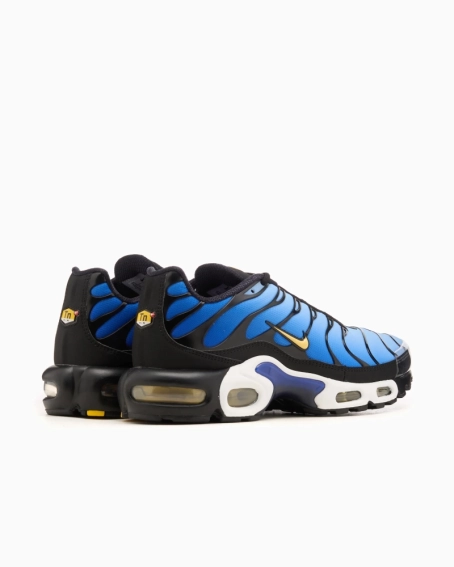 Кроссовки NIKE AIR MAX PLUS OG DX0755-001 фото 6 — интернет-магазин Tapok
