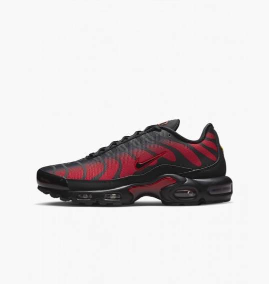 Кроссовки мужские Nike Air Max Plus Black DZ4507-600 фото 2 — интернет-магазин Tapok