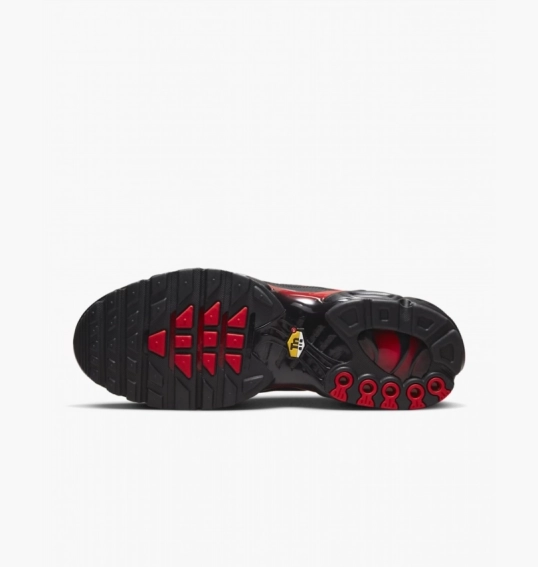 Кроссовки мужские Nike Air Max Plus Black DZ4507-600 фото 4 — интернет-магазин Tapok