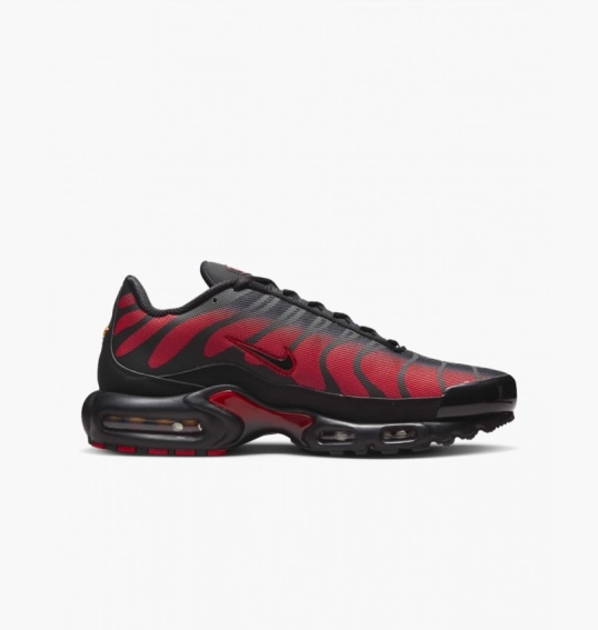 Кроссовки мужские Nike Air Max Plus Black DZ4507-600 фото 5 — интернет-магазин Tapok