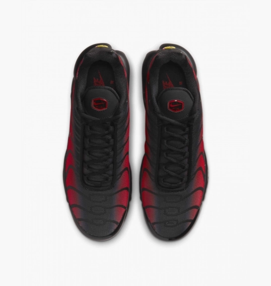 Кроссовки мужские Nike Air Max Plus Black DZ4507-600 фото 6 — интернет-магазин Tapok