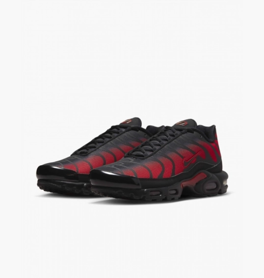 Кроссовки мужские Nike Air Max Plus Black DZ4507-600 фото 7 — интернет-магазин Tapok