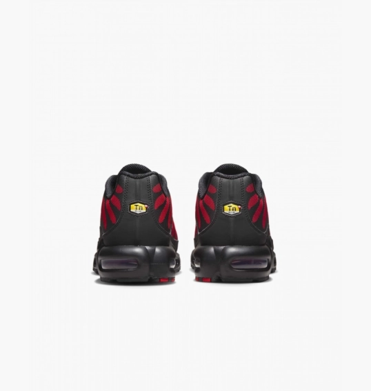 Кроссовки мужские Nike Air Max Plus Black DZ4507-600 фото 8 — интернет-магазин Tapok