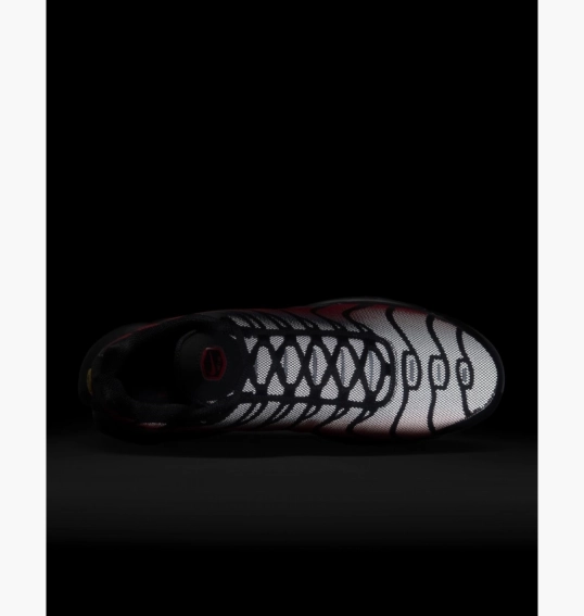 Кроссовки мужские Nike Air Max Plus Black DZ4507-600 фото 11 — интернет-магазин Tapok