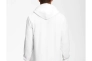 Кофта мужская The North Face Half Dome Pullover NF0A7UNLLA9 Фото 2