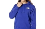 Кофта мужская The North Face Nse Pullover NF0A7UNSZXC Фото 1