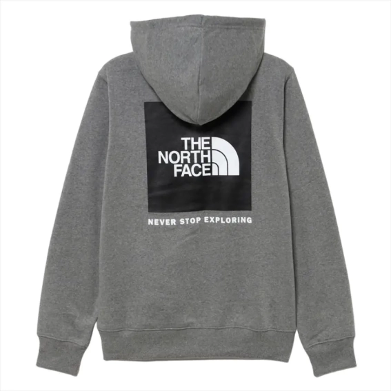 Худые мужские The North Face Bear Pullover Hoodie NF0A7UNMGVD фото 2 — интернет-магазин Tapok