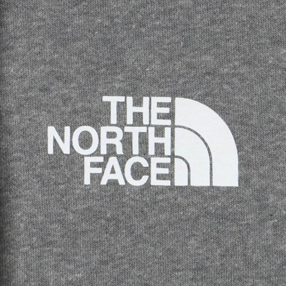 Худые мужские The North Face Bear Pullover Hoodie NF0A7UNMGVD фото 5 — интернет-магазин Tapok