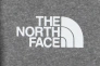 Худые мужские The North Face Bear Pullover Hoodie NF0A7UNMGVD Фото 5