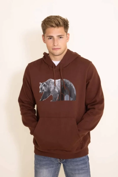 Худі чоловіче The North Face Bear Pullover Hoodie Brown NF0A7UNM6S2 фото 1 — інтернет-магазин Tapok