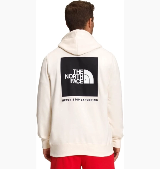 Худі чоловіче The North Face Box Nse Hoodie NF0A7UNSQ4C фото 2 — інтернет-магазин Tapok