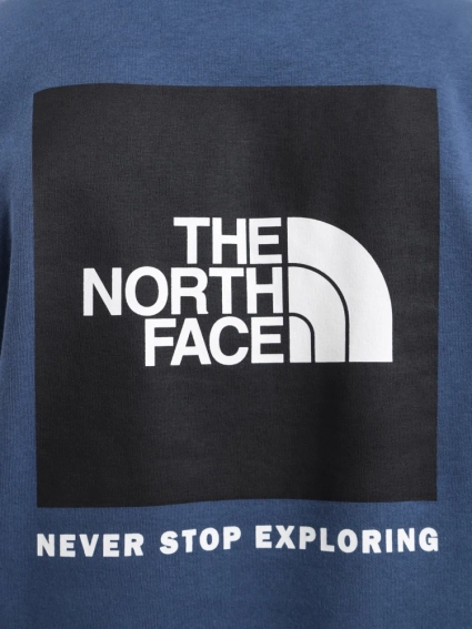 Худі чоловіче The North Face Box Nse Hoodie Blue NF0A7UNSMPF фото 5 — інтернет-магазин Tapok
