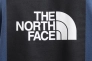 Худі чоловіче The North Face Box Nse Hoodie Blue NF0A7UNSMPF Фото 5