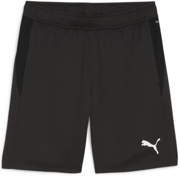 Шорты Puma teamGOAL Training 658643-03, Цвет Черный, Размер (Европа) - L 658643-03 фото 1 — интернет-магазин Tapok