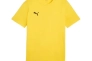 Футболка Puma Team Goal Casuals 658615-07, Цвет Желтый, Размер (Европа) - L 658615-07 Фото 1