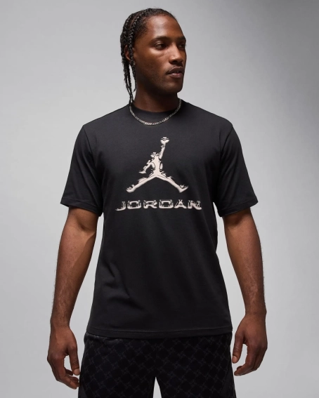 Футболка мужская Jordan Dri-Fit (HQ9091-010) фото 1 — интернет-магазин Tapok