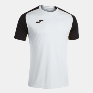 Футболка Joma Academy IV 101968.201