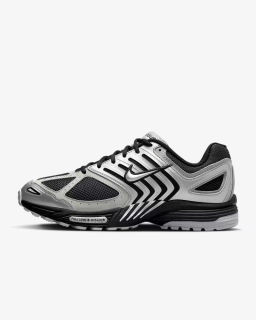 Кросівки Nike AIR Pegasus 2005 Silver Metallic HQ5403 001
