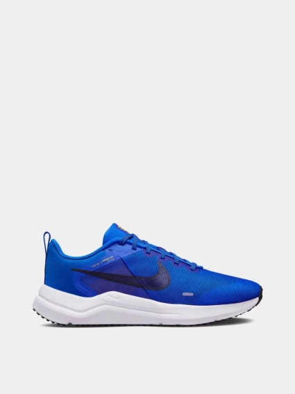 Кросівки Nike Downshifter 12 Blue/White DD9293-402 фото 1 — інтернет-магазин Tapok