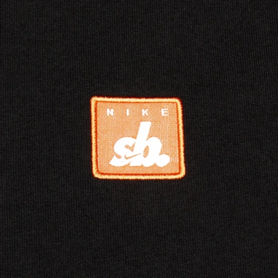 Футболка Nike U NK SB TEE PE SUST FJ1167-010 фото 2 — интернет-магазин Tapok
