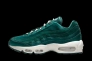 Кросівки W Nike Air Max 95 DZ5226-300 Фото 1