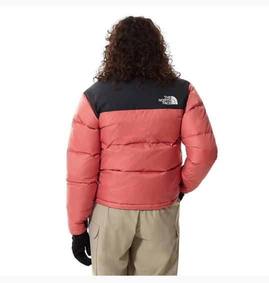 Пуховик The North Face Print Nuptse NF0A3XEOUBG фото 2 — інтернет-магазин Tapok