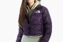 ПуховикThe North Face Print Nuptse Short NF0A5IXT-29J Фото 1