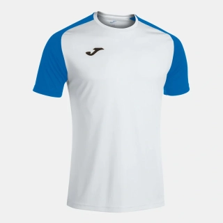 Футболка Joma ACADEMY IV бело-синяя 101968.207 101968.207