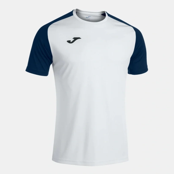 Футболка Joma ACADEMY IV бело-темно-синяя 101968.203 101968.203 фото 1 — интернет-магазин Tapok